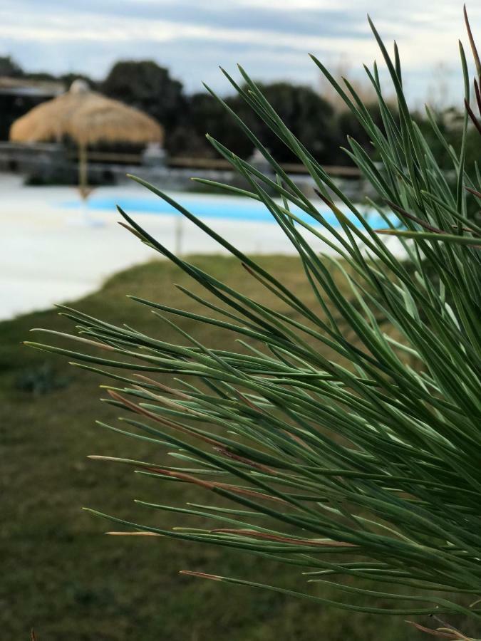 Villa Elisabeth Pláka 외부 사진